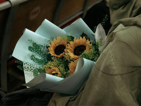A bouquet of sunflowers wrapped in light blue paper rests on a person's lap