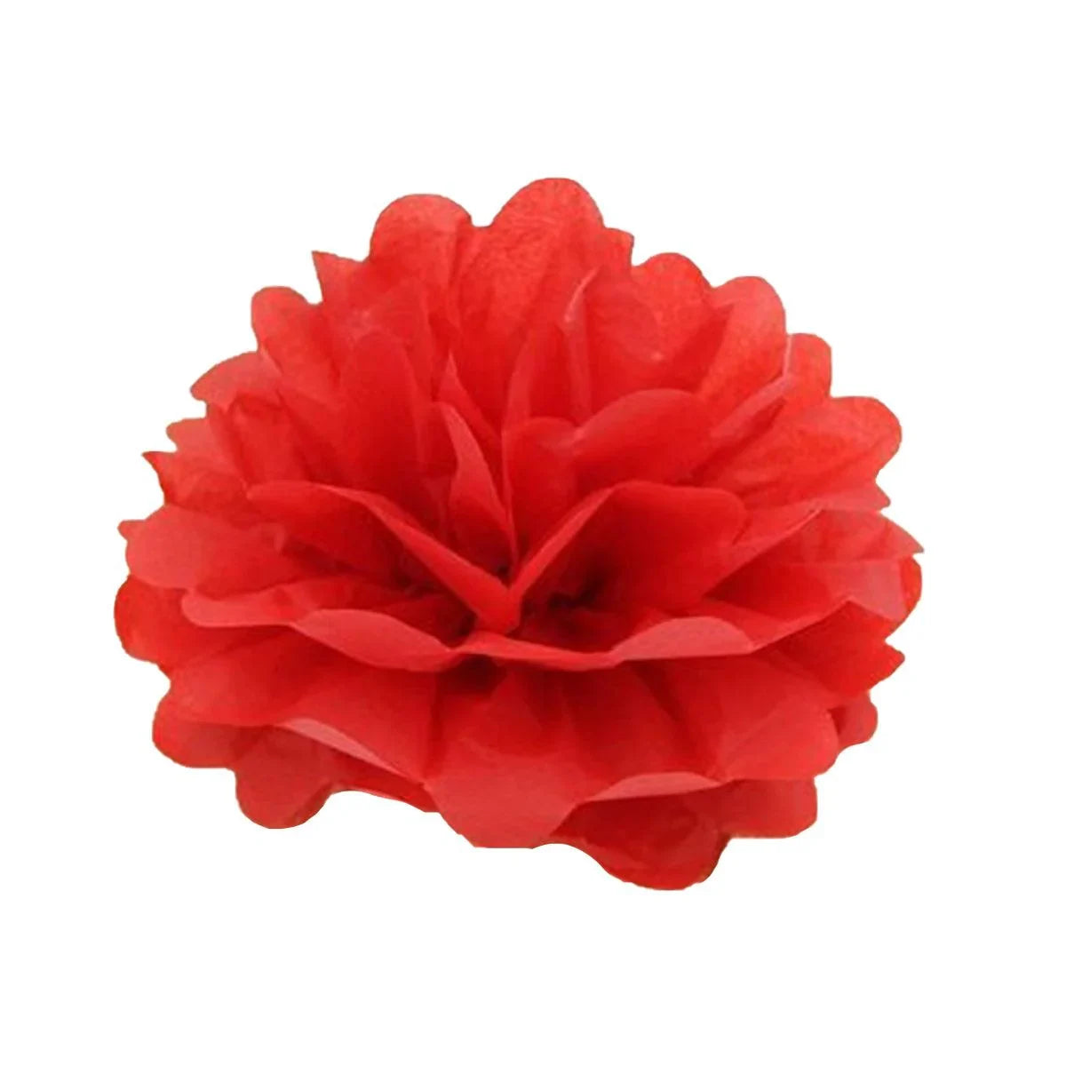 Tissue Paper Pom Poms Event Decor 10PCS
