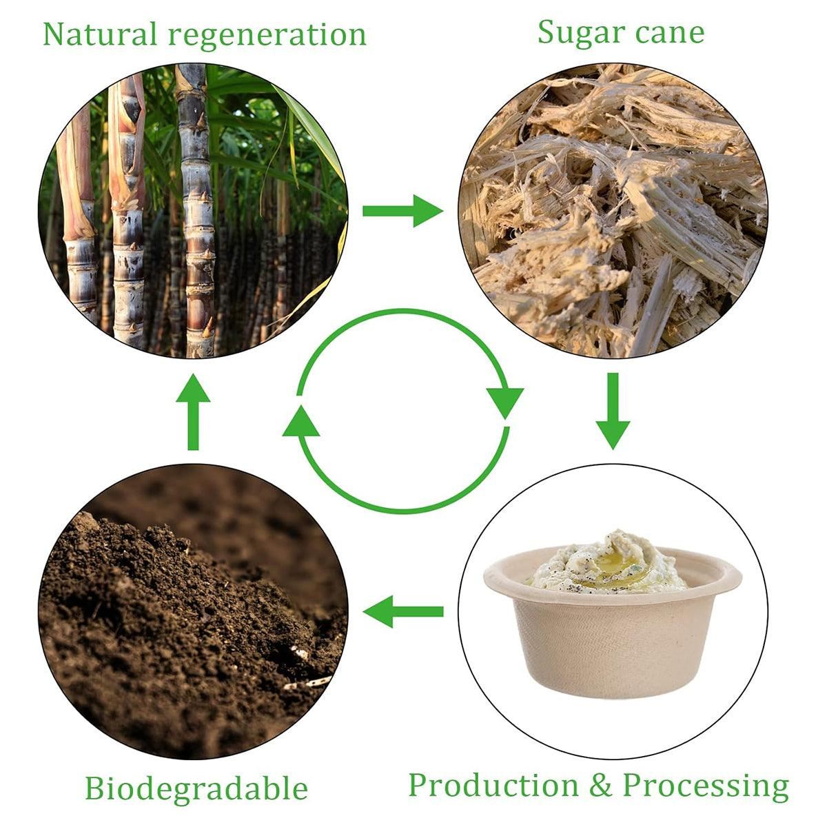 Pulp Sauce Cups Dip Bowls 100PCS