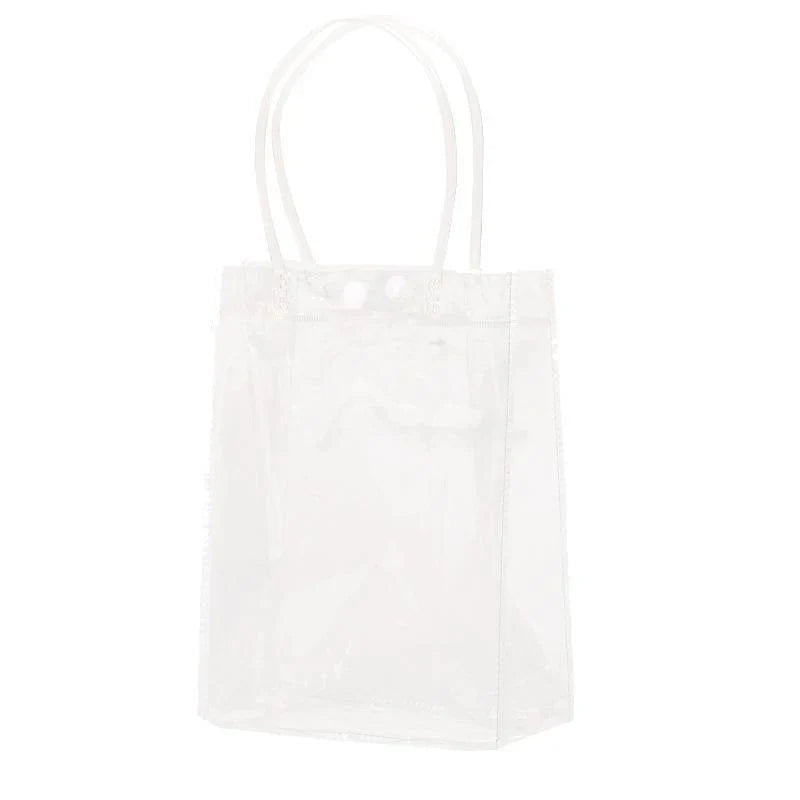 Transparent PVC bag for travel and organization