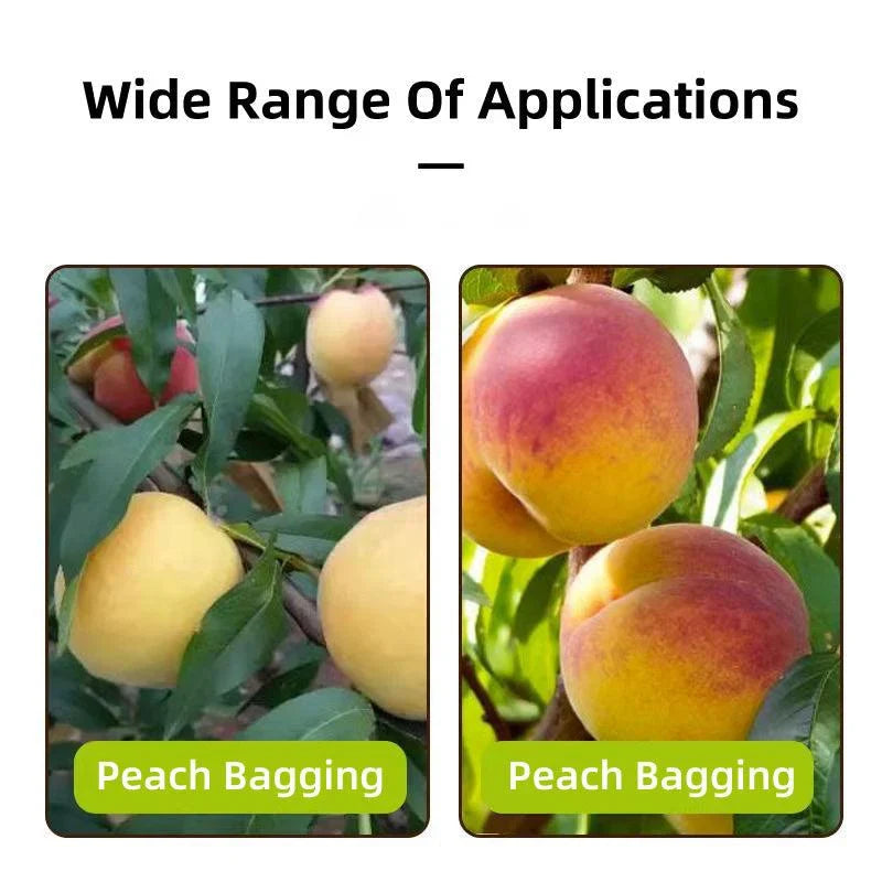 Fruit Bags Protective Paper Bagging 100PCS