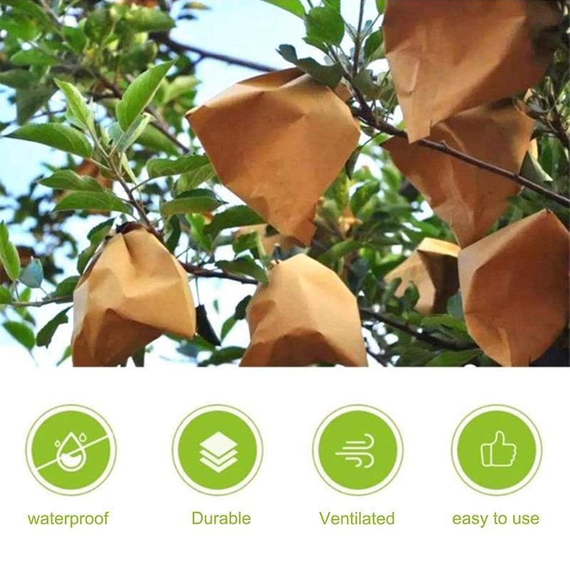Fruit Bags Protective Paper Bagging 100PCS
