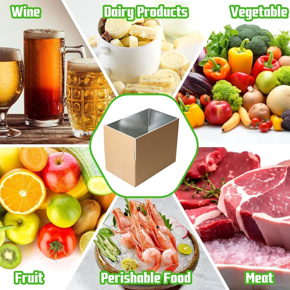 Insulated Carton Cold Chain Packaging Box 10PCS