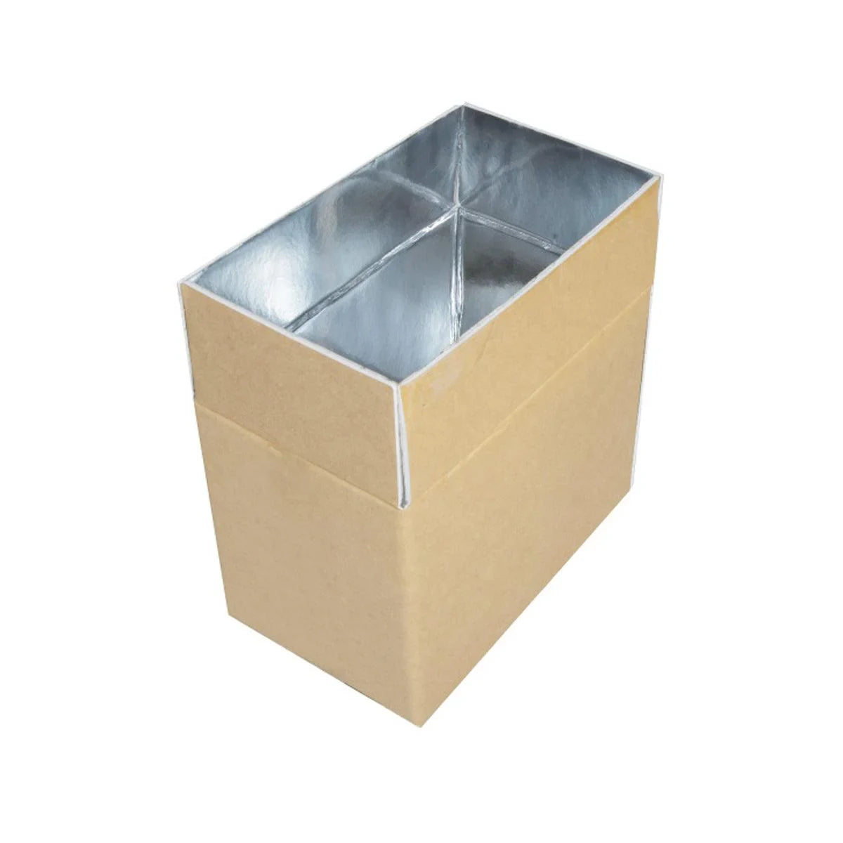 Insulated Carton Cold Chain Packaging Box 10PCS