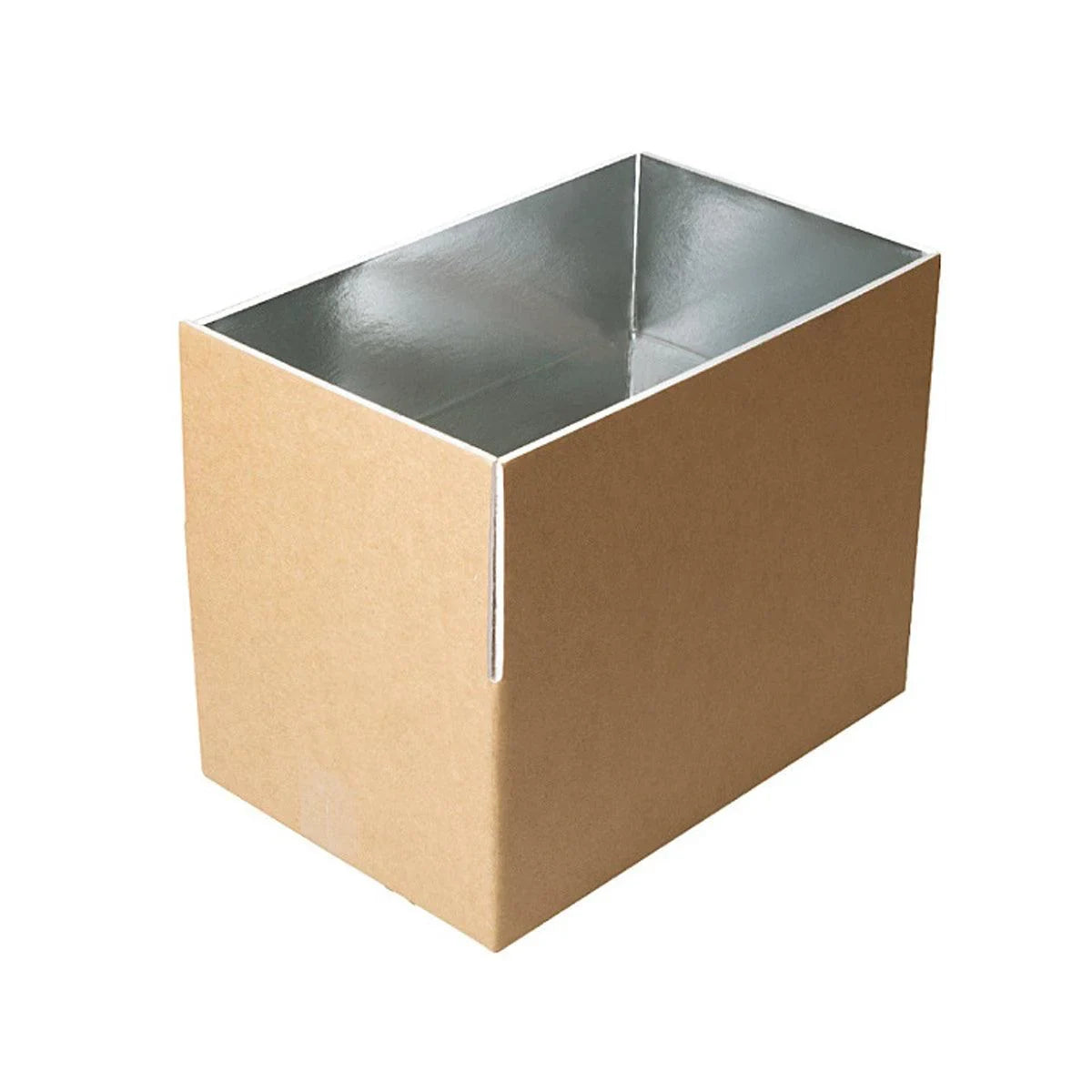 Insulated Carton Cold Chain Packaging Box 10PCS