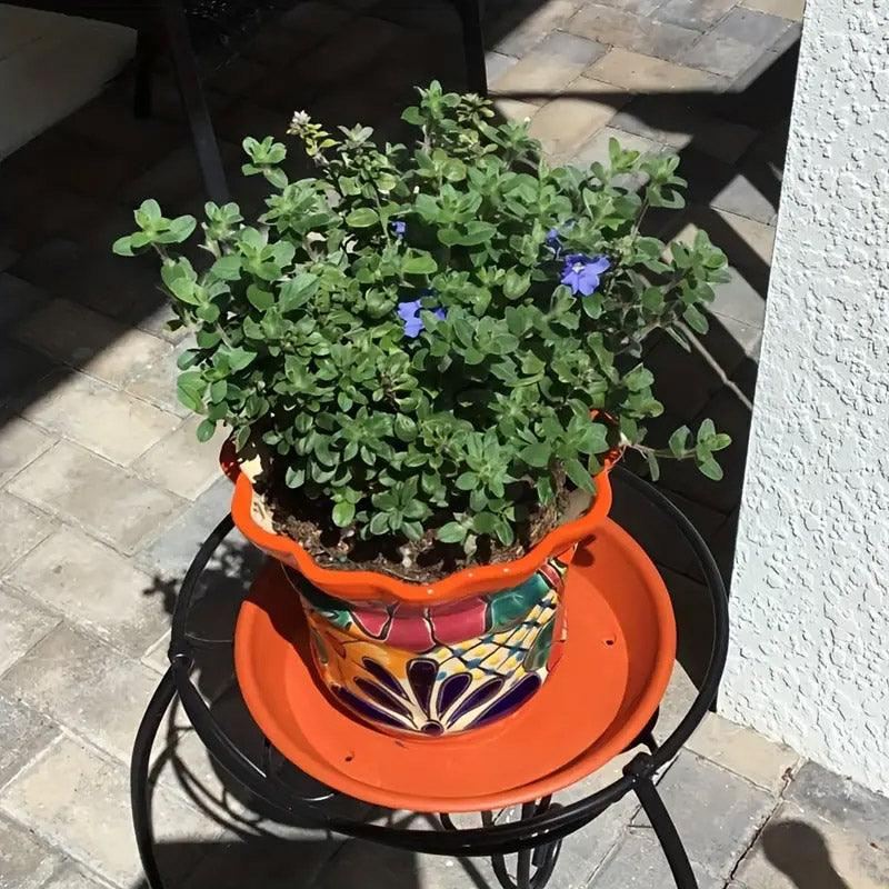 Plastic Flower Pots and Trays Round Base 6PCS