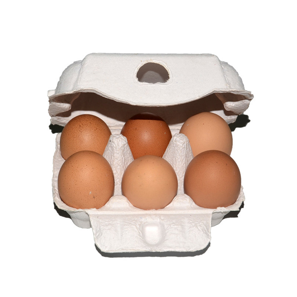 200PCS 6 Slot Paper Egg Trays Molded Pulp Egg Packaging Trays