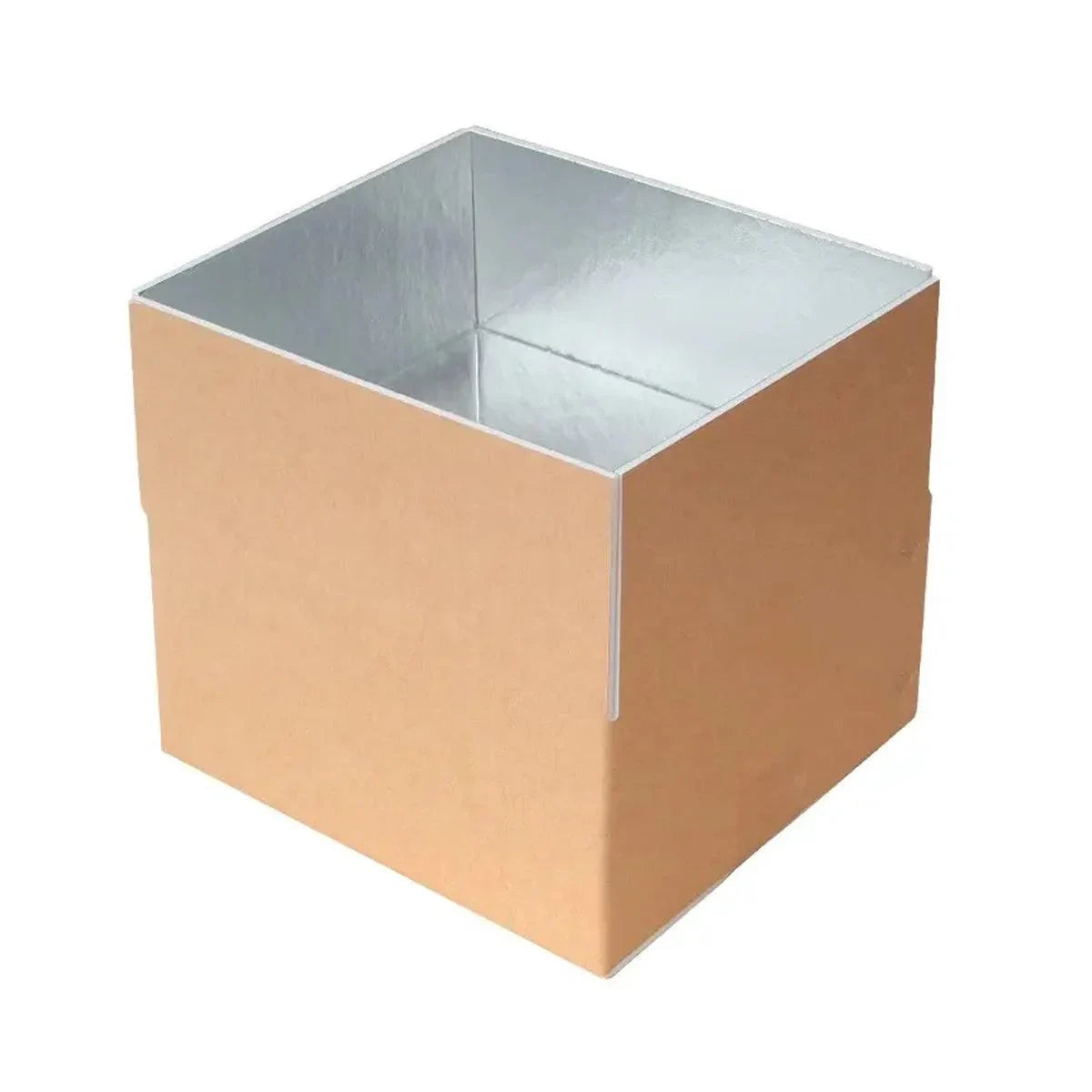 Insulated Carton Cold Chain Packaging Box 10PCS