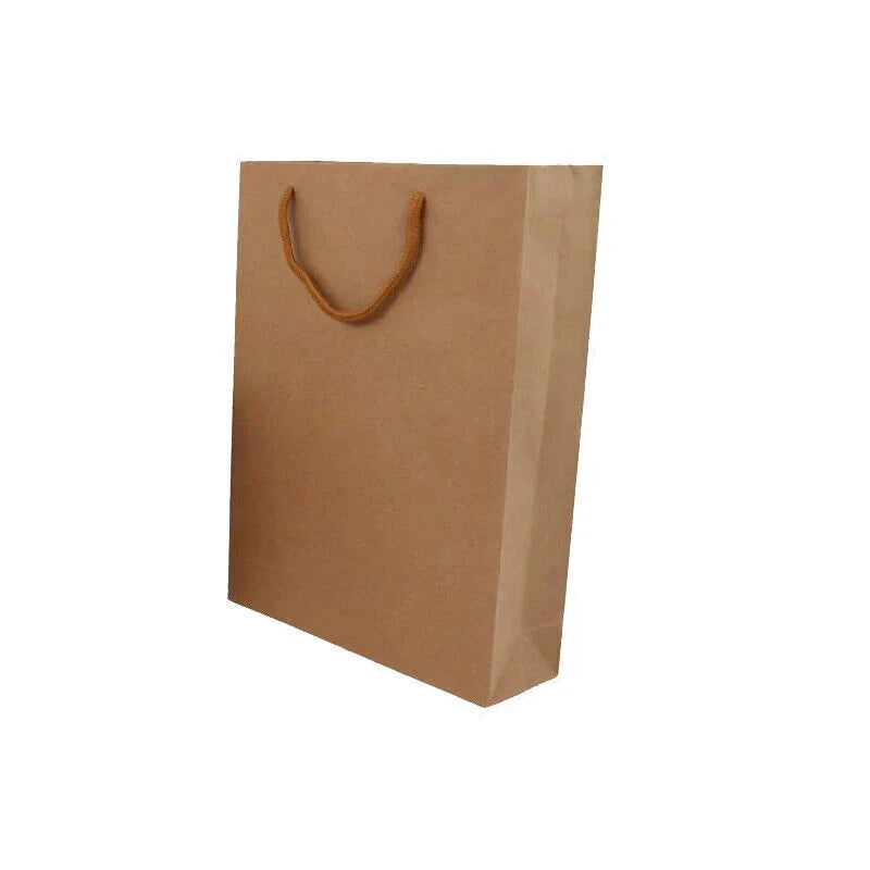Kraft Paper Bags with Handles 50PCS 6Sizes