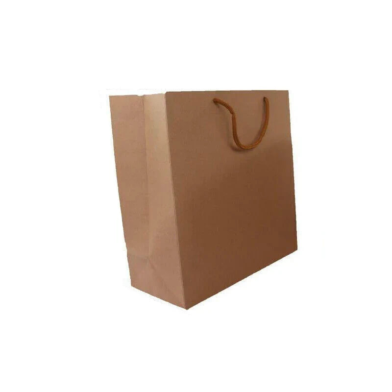 Kraft Paper Bags with Handles 50PCS 6Sizes