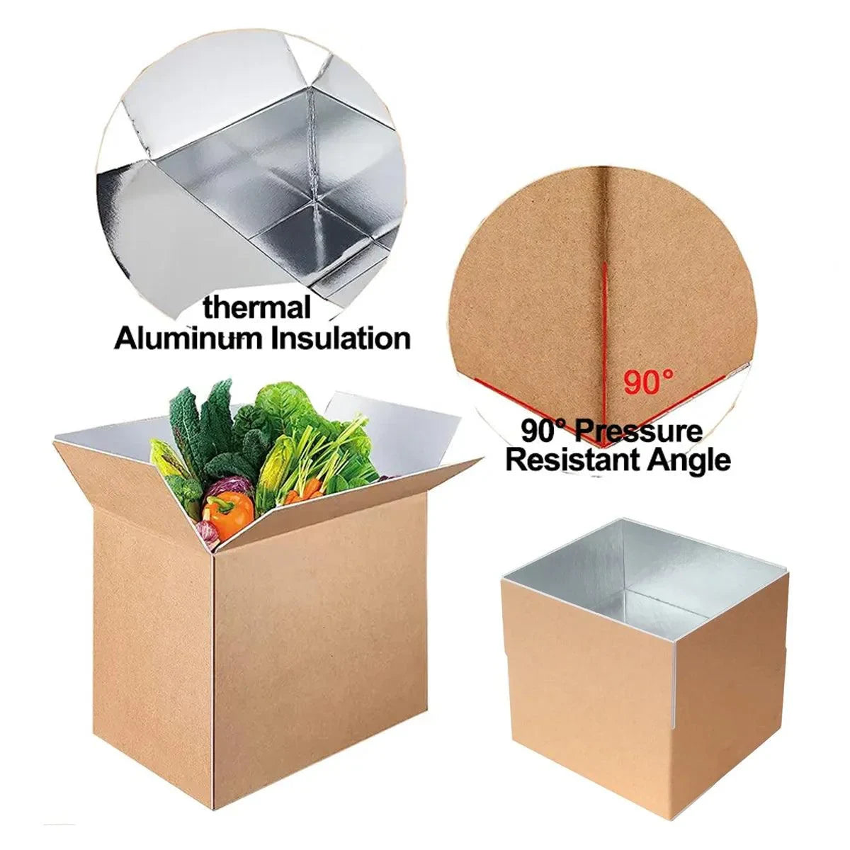 Insulated Carton Cold Chain Packaging Box 10PCS