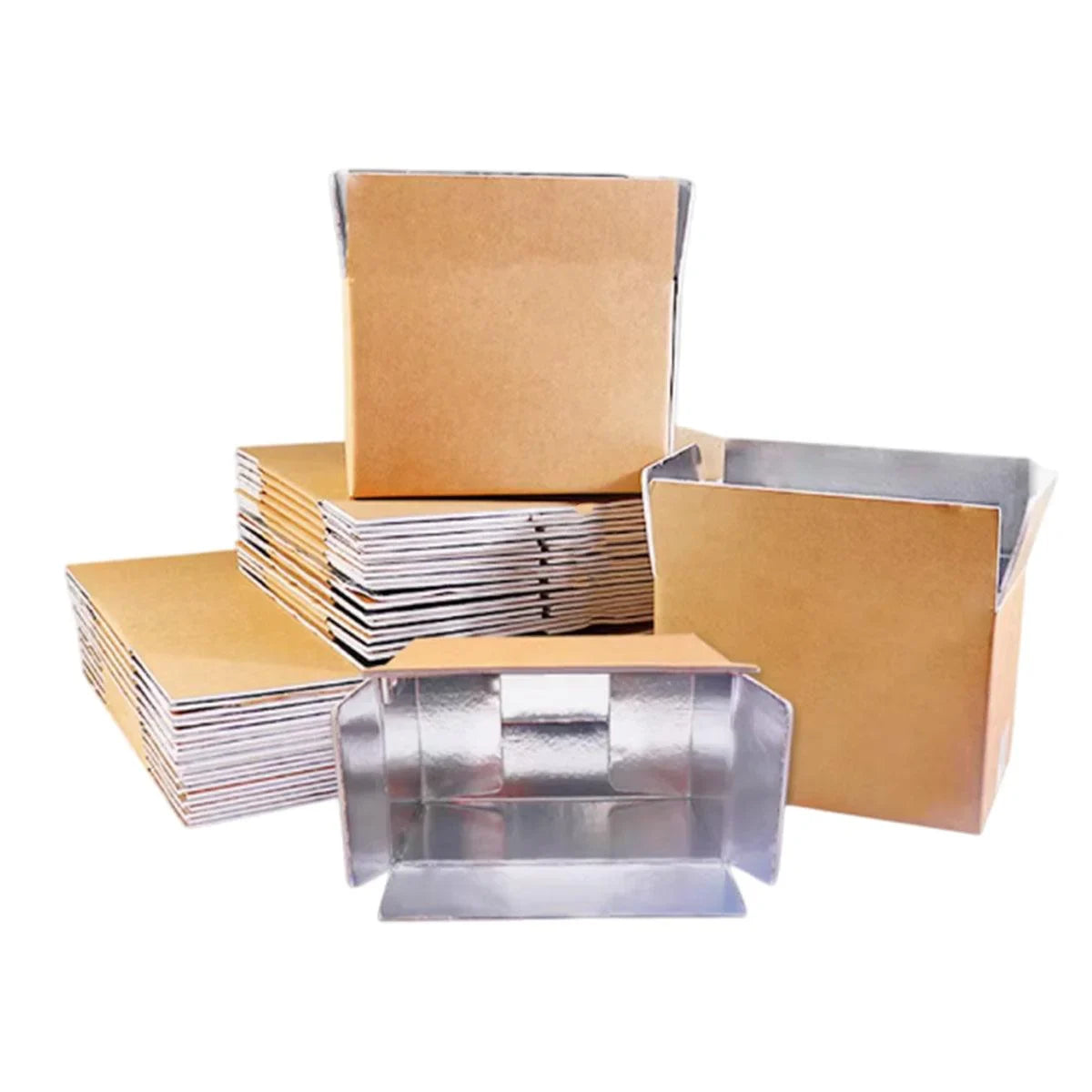 Insulated Carton Cold Chain Packaging Box 10PCS