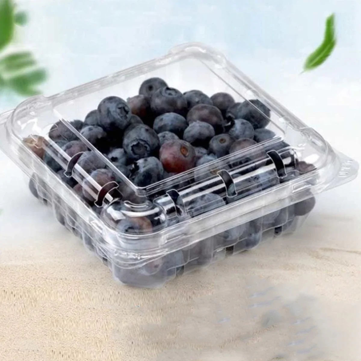 Fruit Boxes Transparent PET Plastic Snap-On Lid 100 Pieces Ventilated