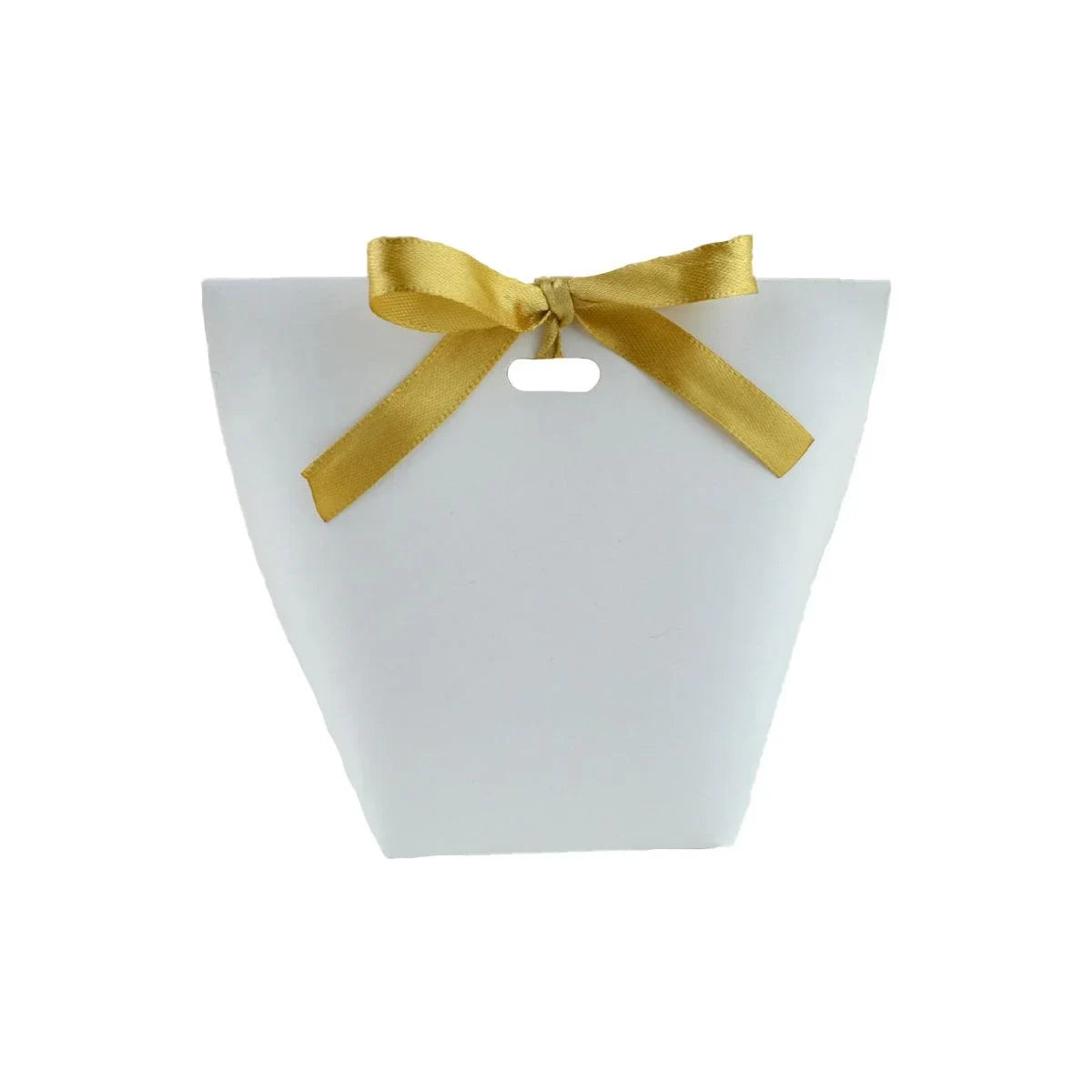 Kraft Paper Gift Bags with Ribbon Closure – 50 Pieces