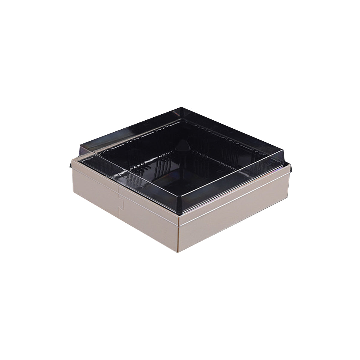 Disposable Sushi Bento Lunch Boxes Takeaway Containers Food Grade 20PCS