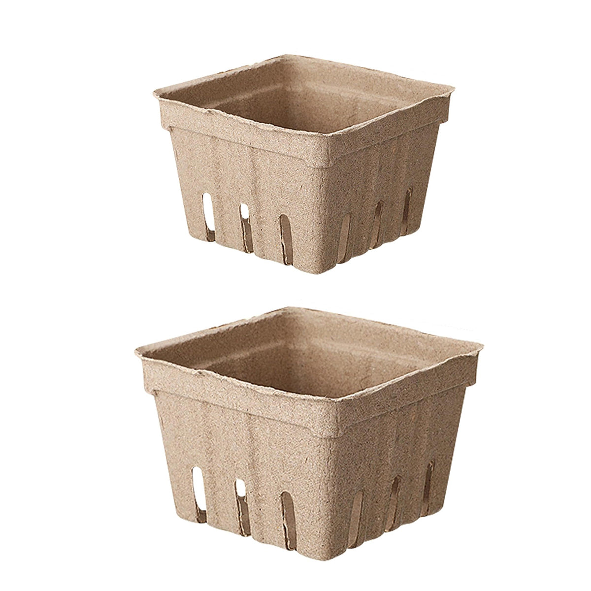 60PCS Biodegradable Pulp Fruit Boxes for Produce Storage