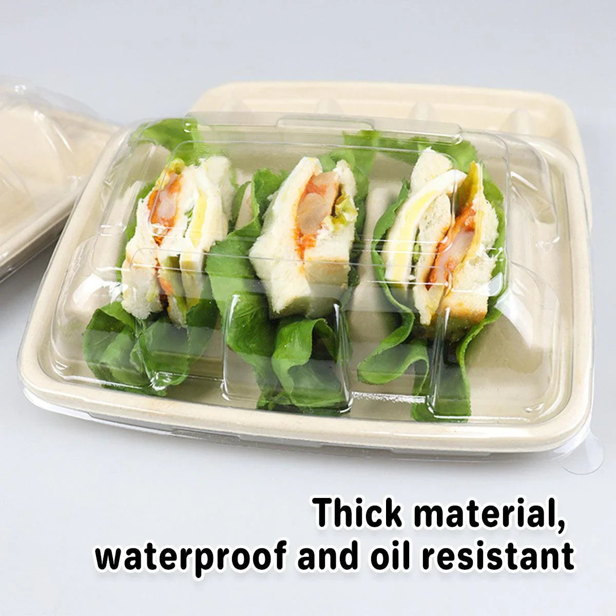 Taco Plate Food-Grade Tray 22.5cm with Clear Lid 50 Pieces