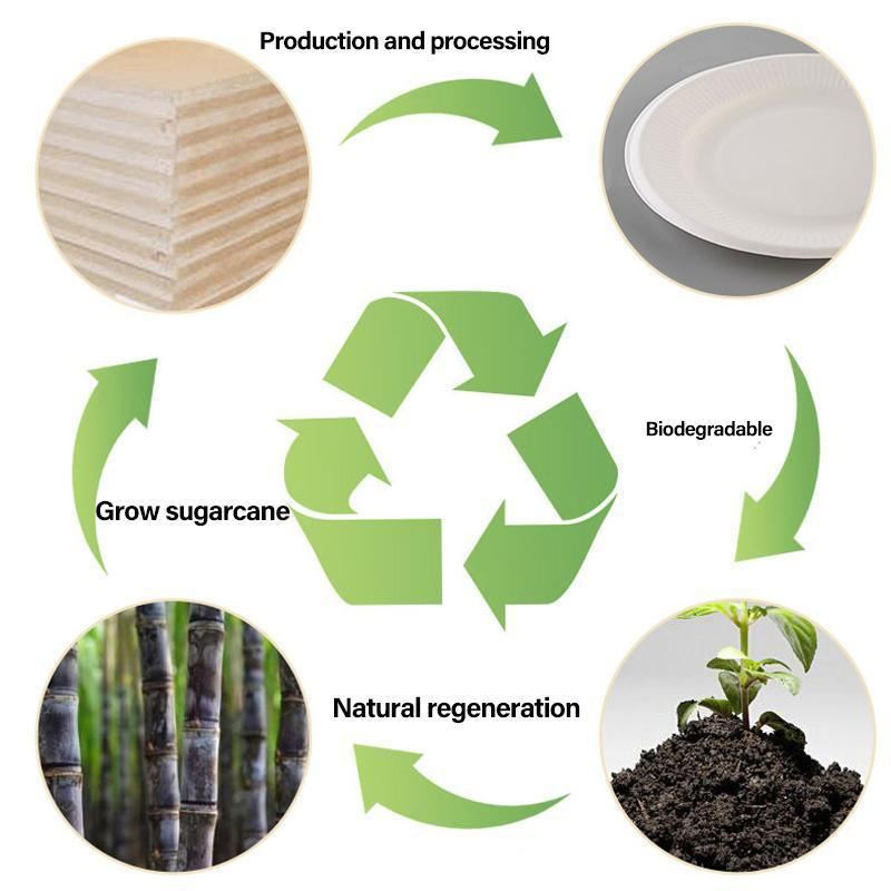 Durable and convenient take away boxes for food packaging.