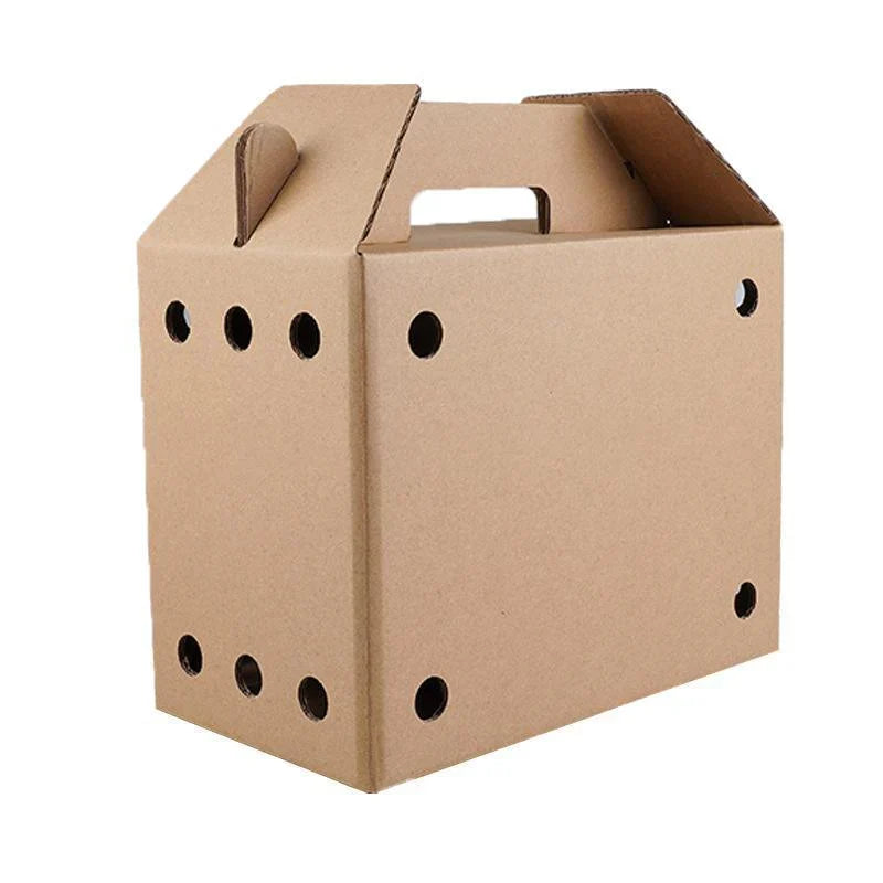 Cardboard Pet Carrier 10PCS 3Sizes Kraft - Discount Packaging Warehouse