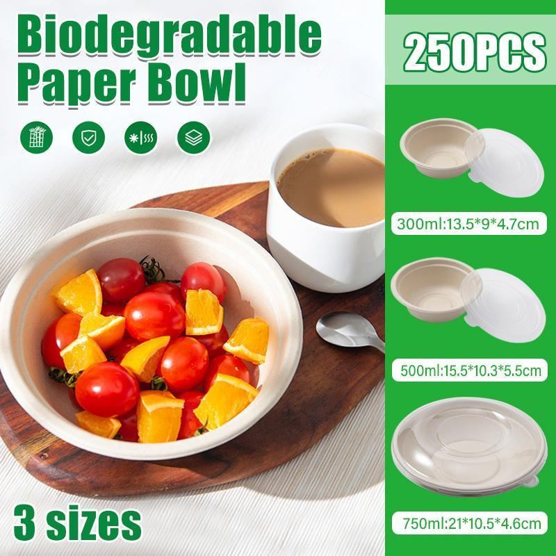 Salad bowl with secure lid for fresh meals