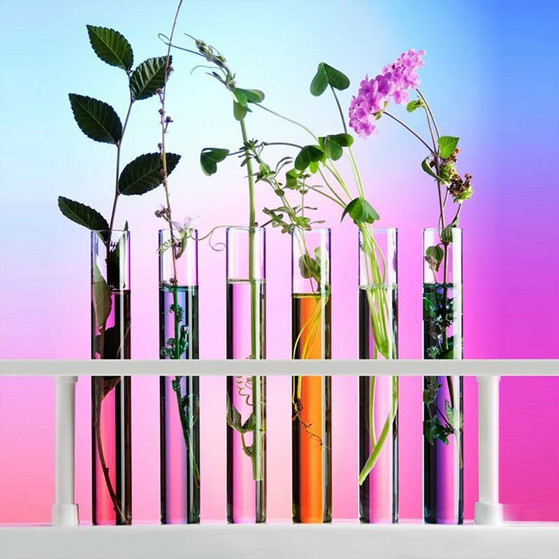 Variety of Test Tubes in a laboratory setting, filled with colorful liquids.