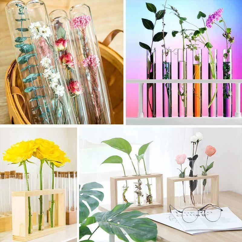 Variety of Test Tubes in a laboratory setting, filled with colorful liquids.