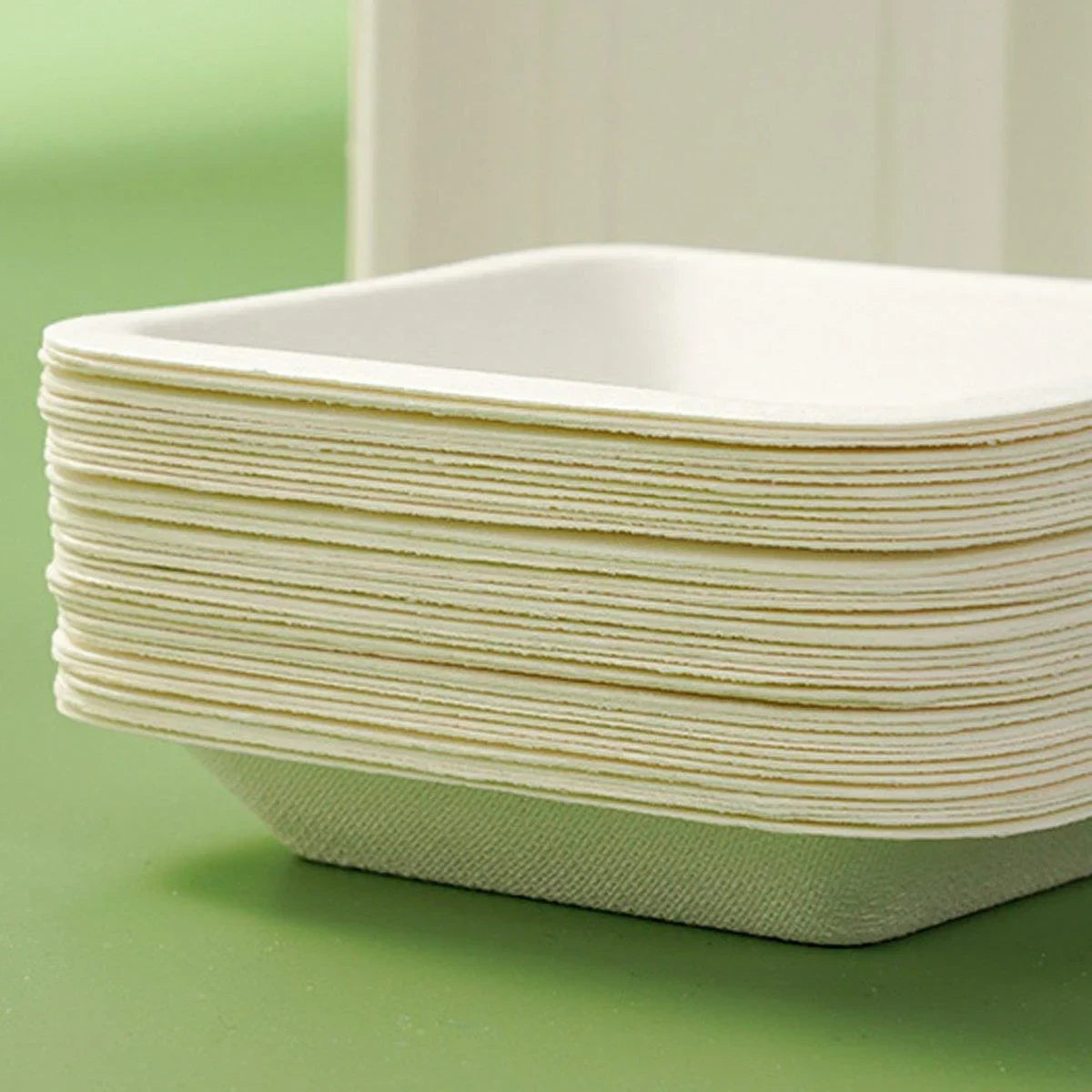 Disposable Trays 100PCS Sugarcane Pulp Square and Rectangle for Parties and Events