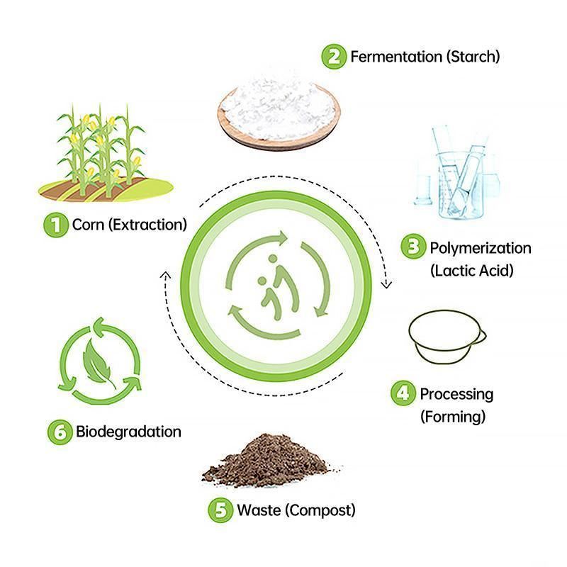 Durable Disposable Bowl with Lid for Convenient Serving