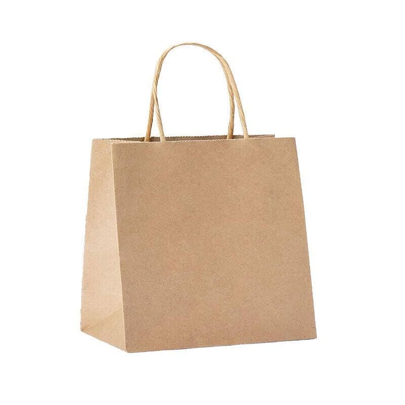 A selection of Paper Bags with Handles in various sizes on a store display