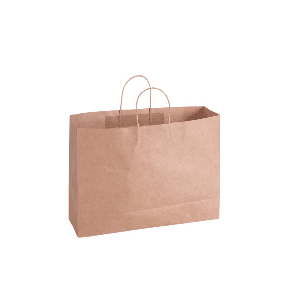 A selection of Paper Bags with Handles in various sizes on a store display