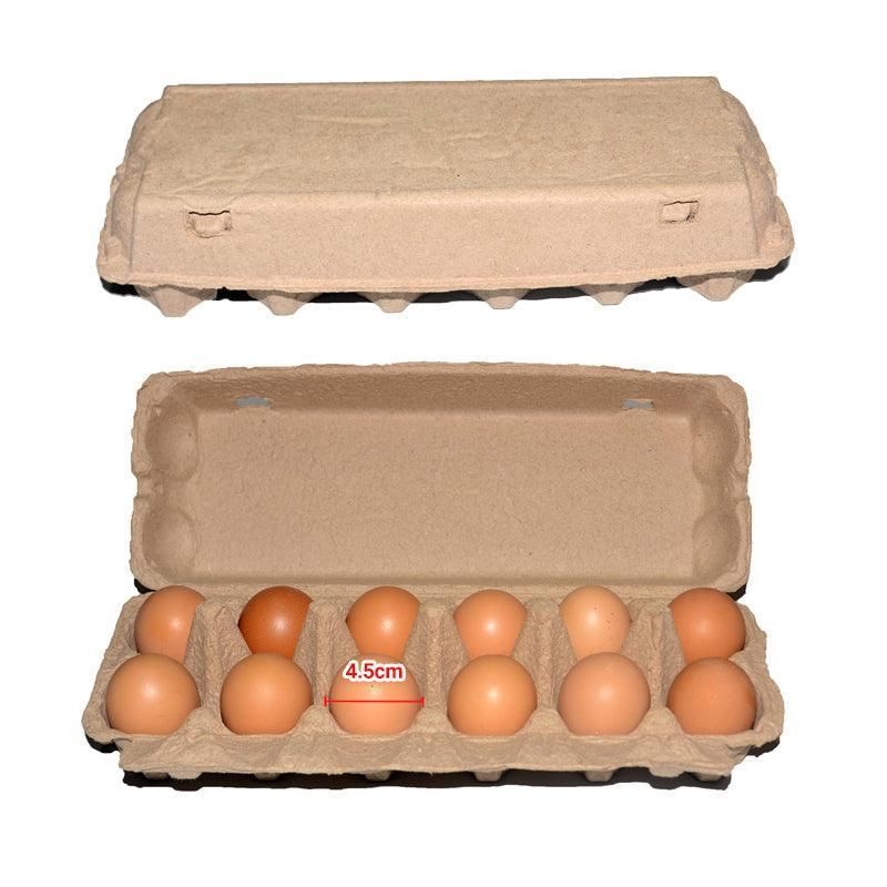 Full Dozen Egg Cartons for 12 Eggs 100PCS 30.2*10.5cm Kraft - Discount Packaging Warehouse
