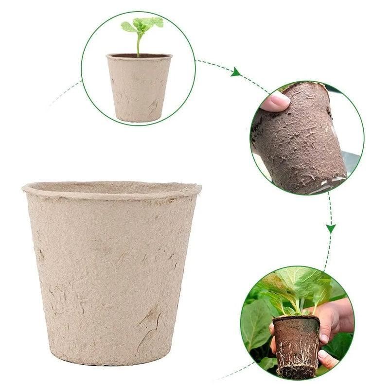 Biodegradable Nursery Pots 500PCS 7.5*8cm Light Brown Paper Pulp - Discount Packaging Warehouse