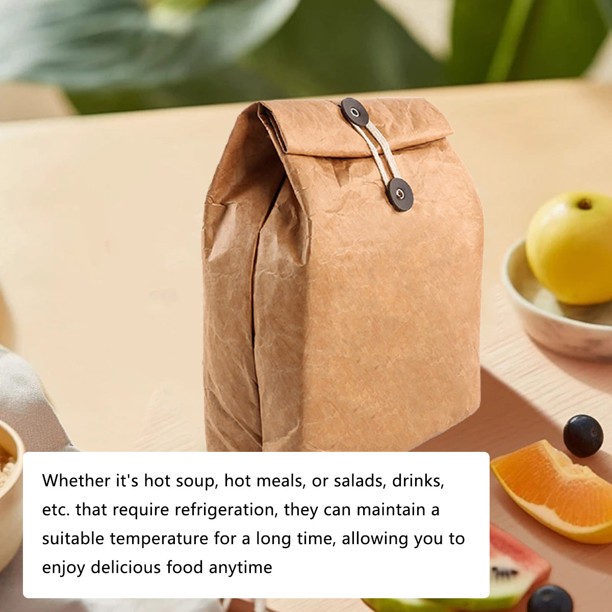 Tyvek Insulated Bento Bag Waterproof Reusable Thermal Lunch Bag