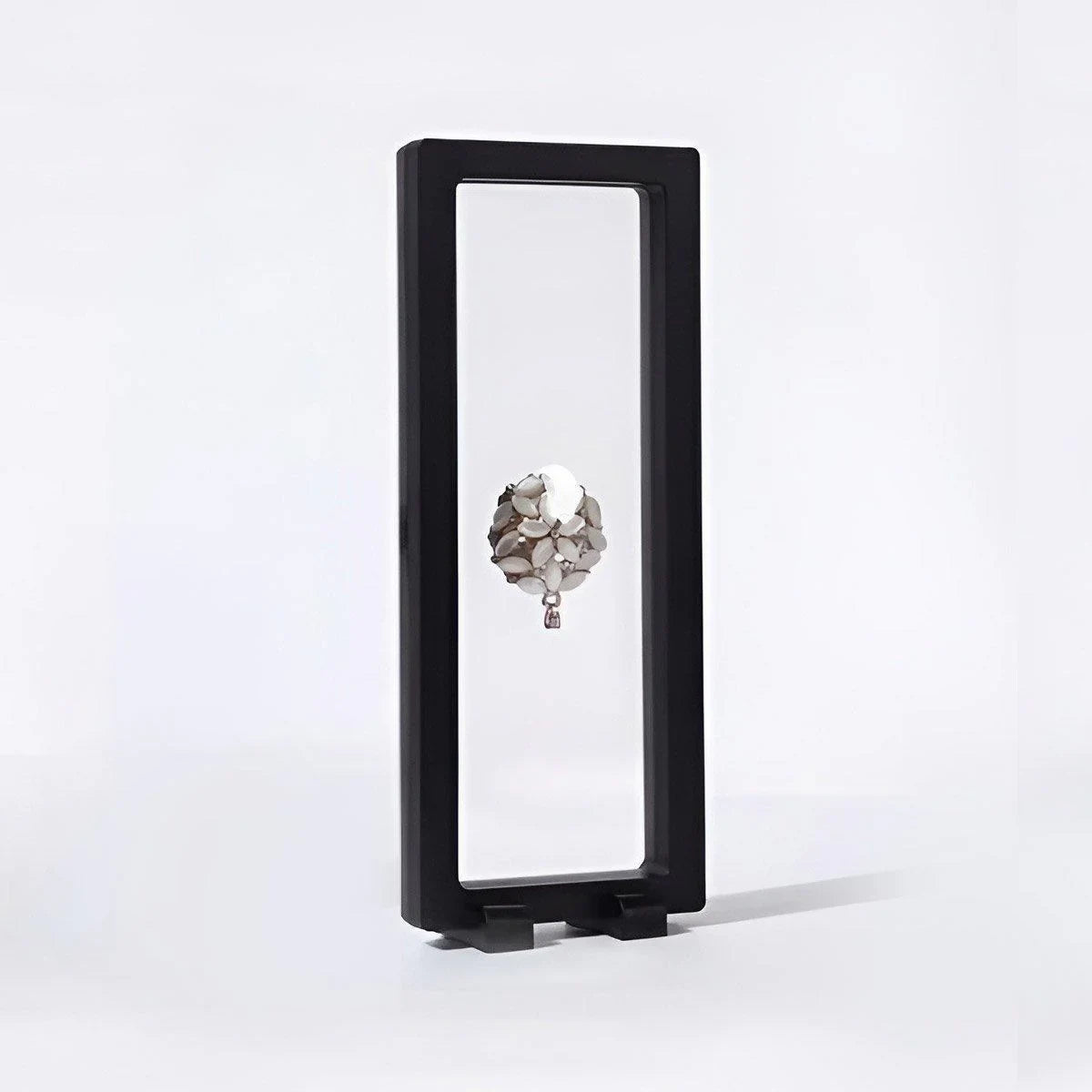 Display Box Plastic Jewelry Storage 10pcs