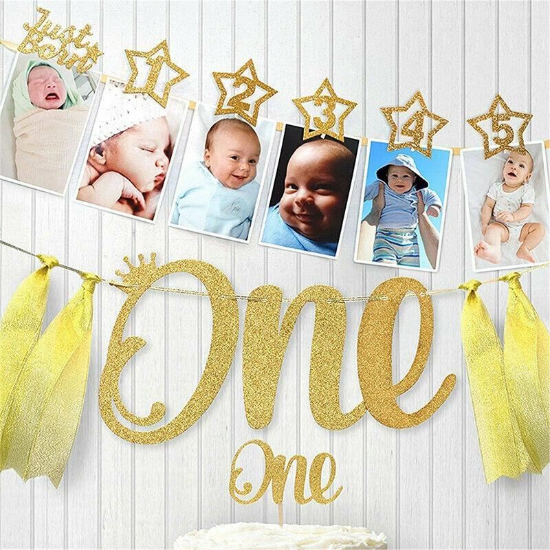 12 Month Milestone Photo Banner Party DIY Decor