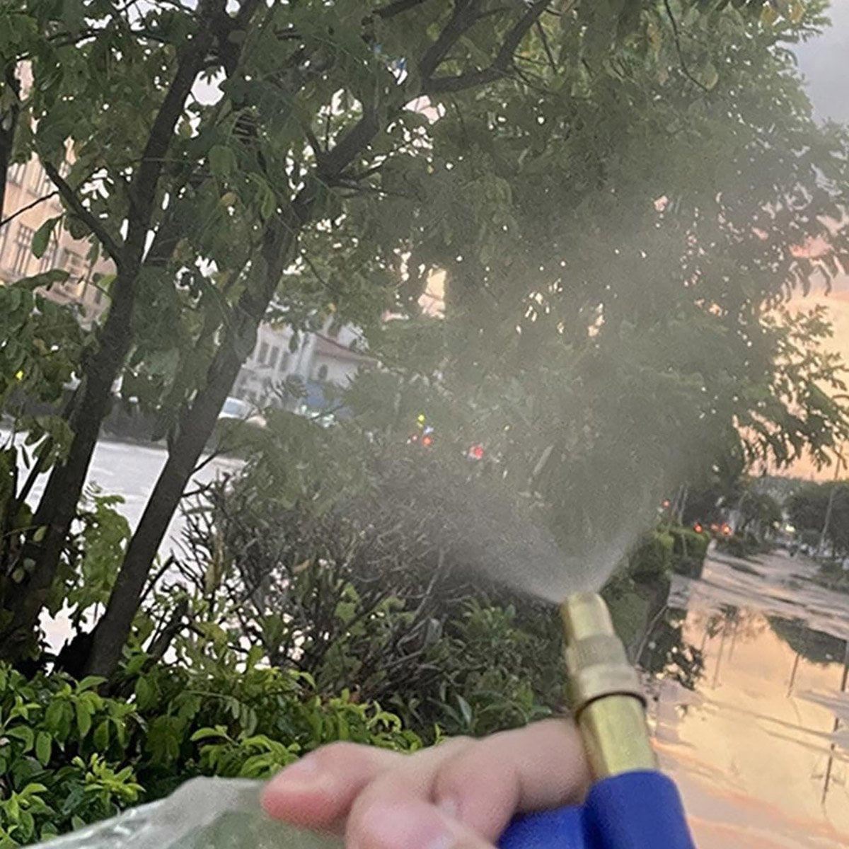 Watering Sprayer Single Double Head 1PC