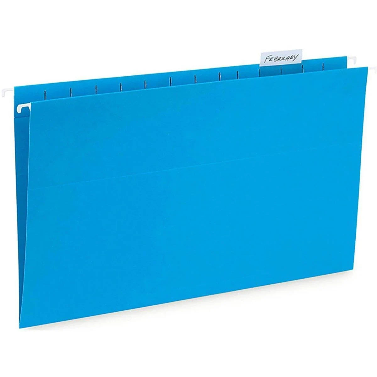 A4 Hanging File Folders 25PCS