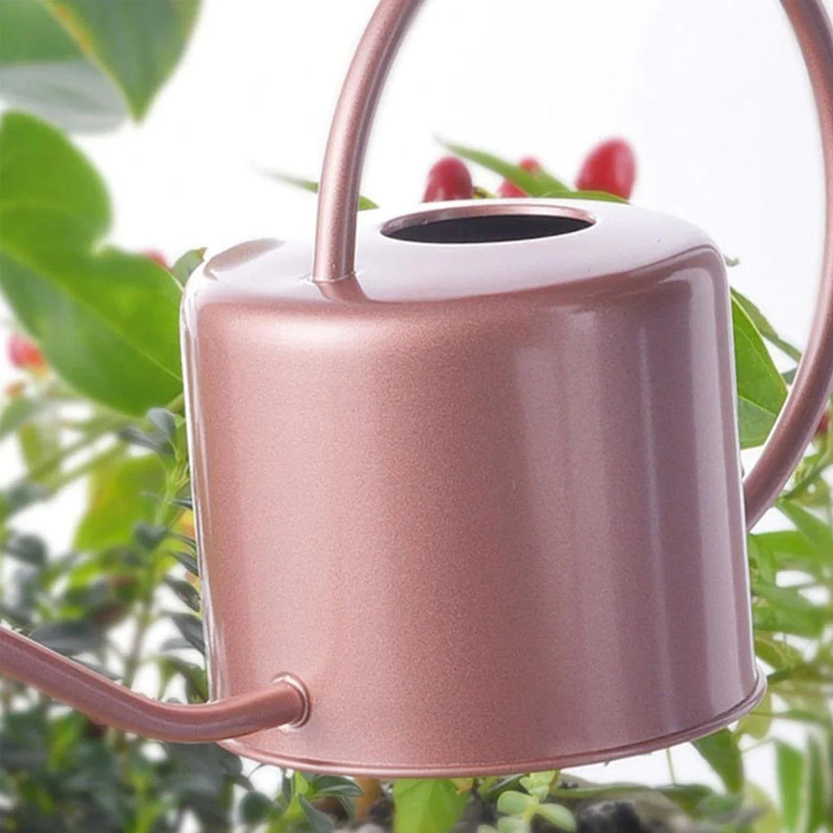 Indoor and Garden Plants Metal Retro Watering Can 6 Colors 1PC