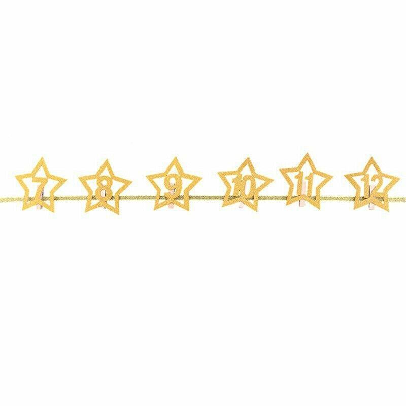 12 Month Milestone Photo Banner Party DIY Decor