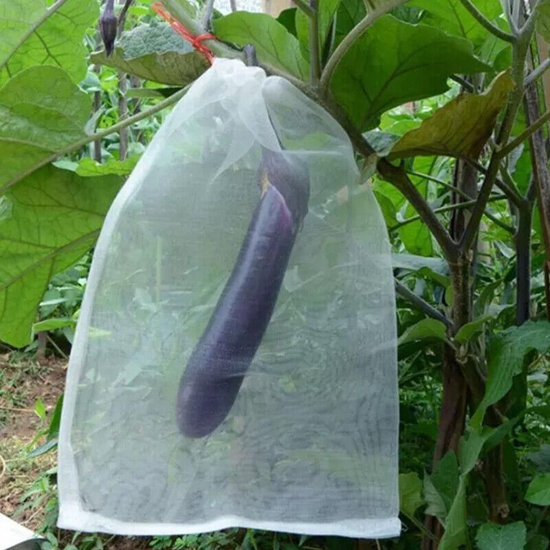 Fruit Vegetable Protection Mesh Bags 10-50PCS