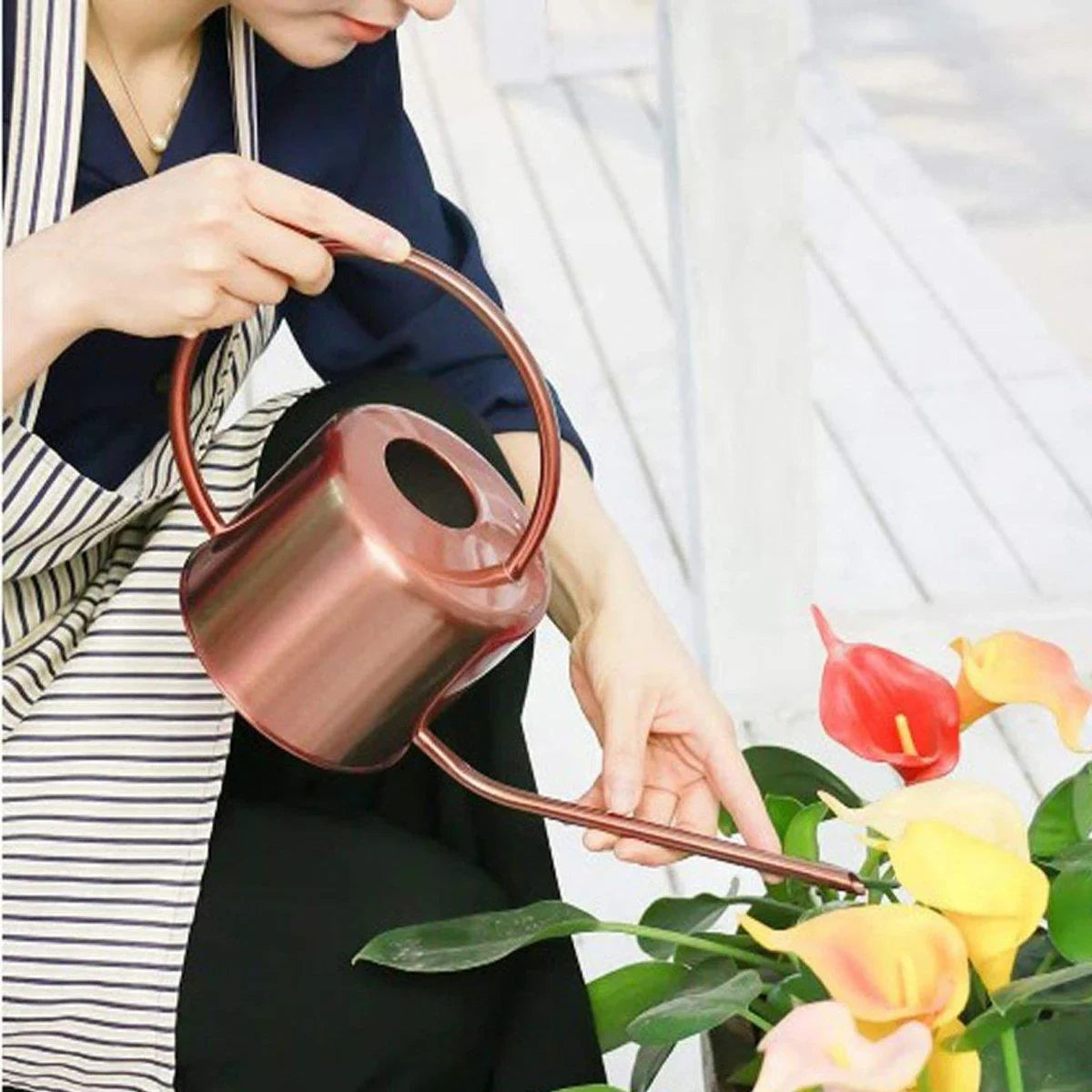Indoor and Garden Plants Metal Retro Watering Can 6 Colors 1PC