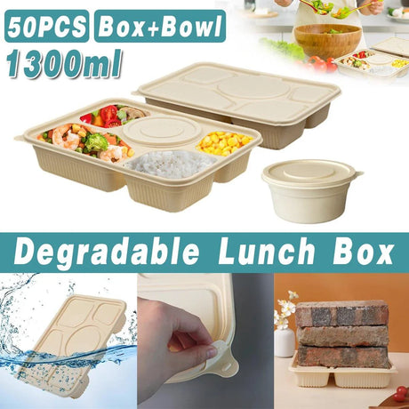 50pcs Degradable Corn Starch Box Food Container