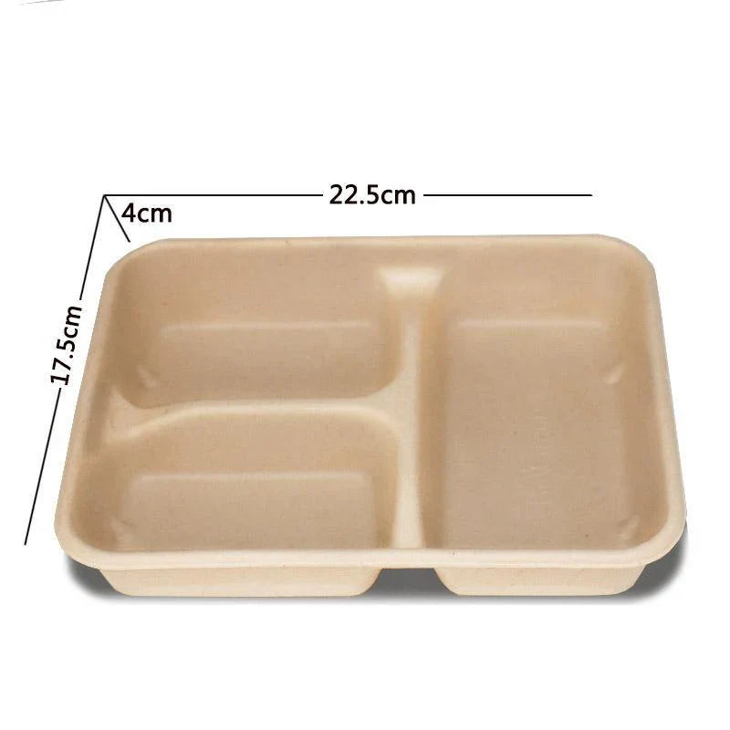 Plant Fibers Takeaway Containers Boxes 25-50pcs