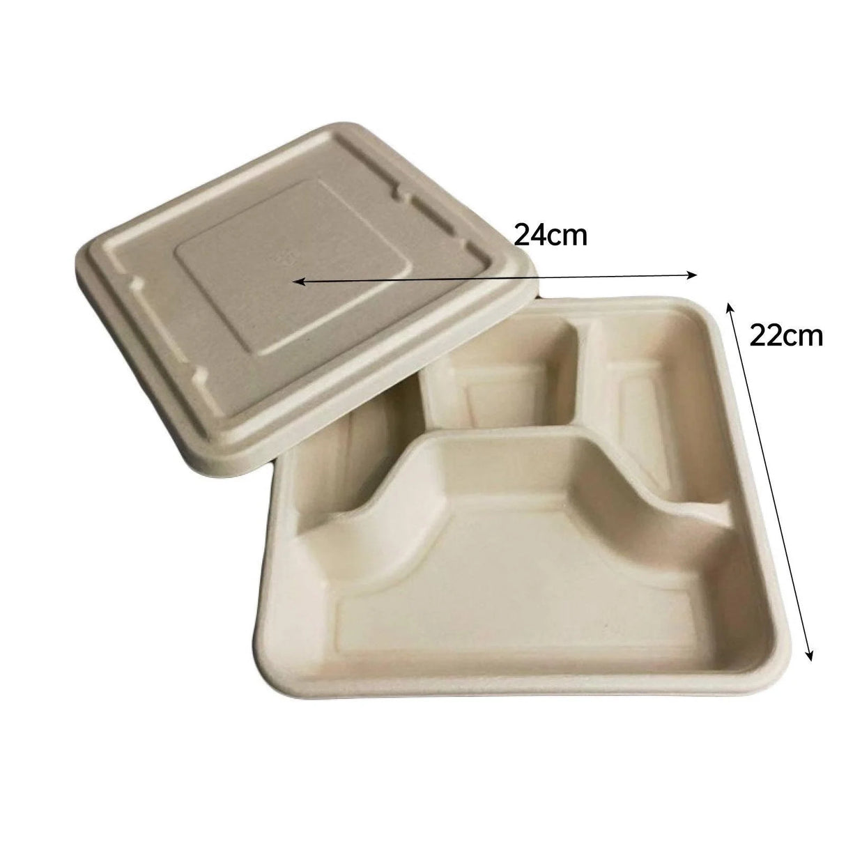 Plant Fibers Takeaway Containers Boxes 25-50pcs
