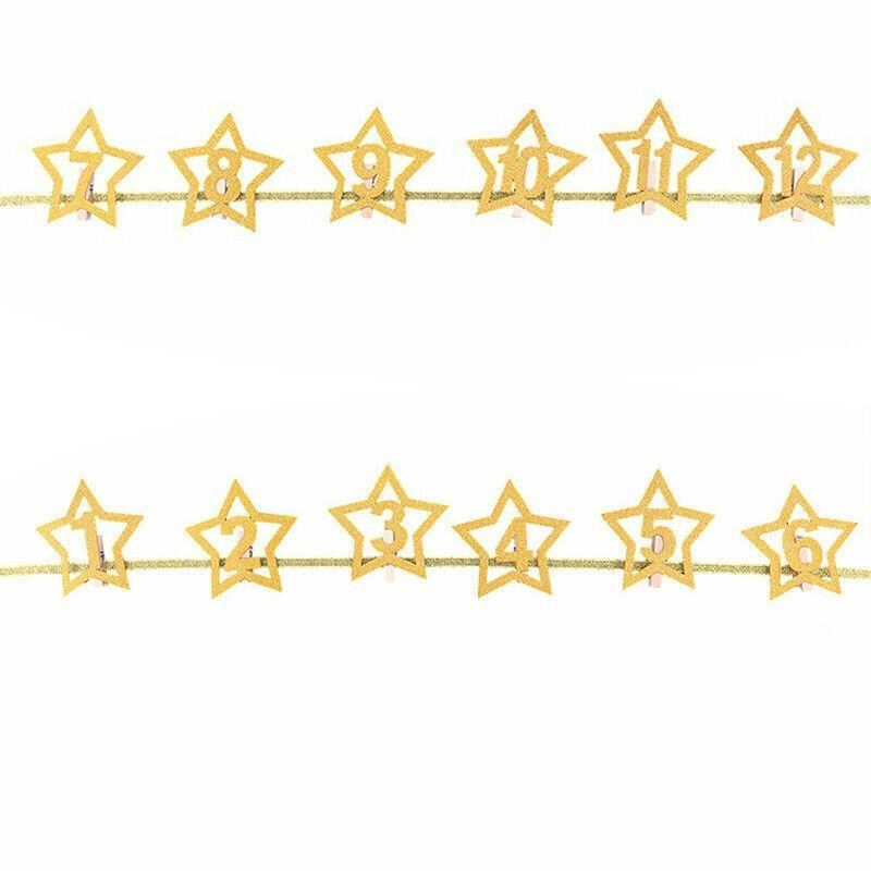 12 Month Milestone Photo Banner Party DIY Decor