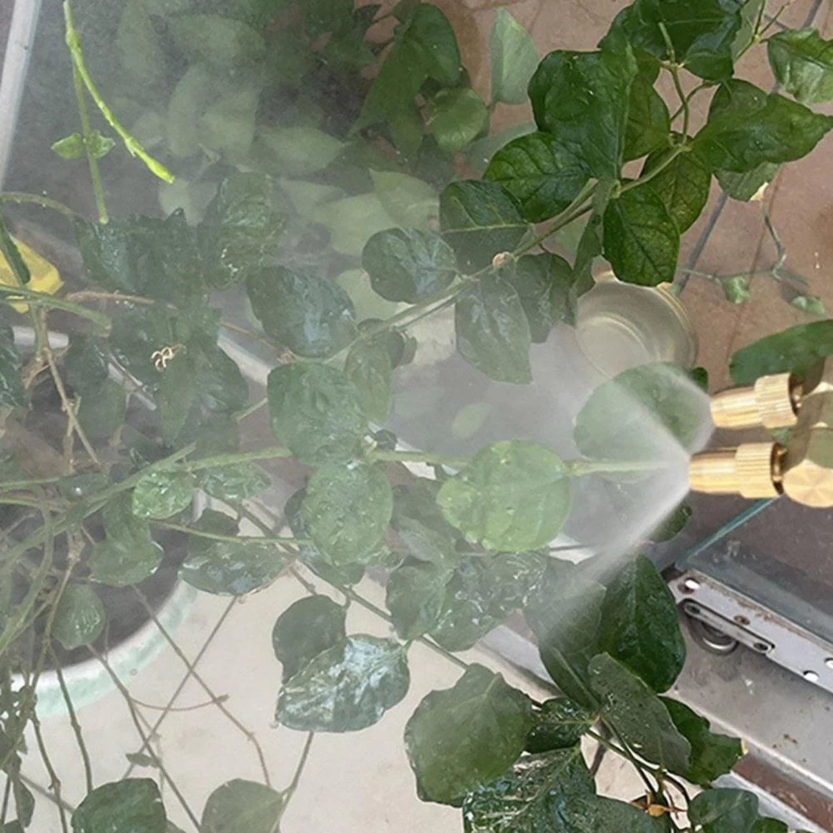 Watering Sprayer Single Double Head 1PC