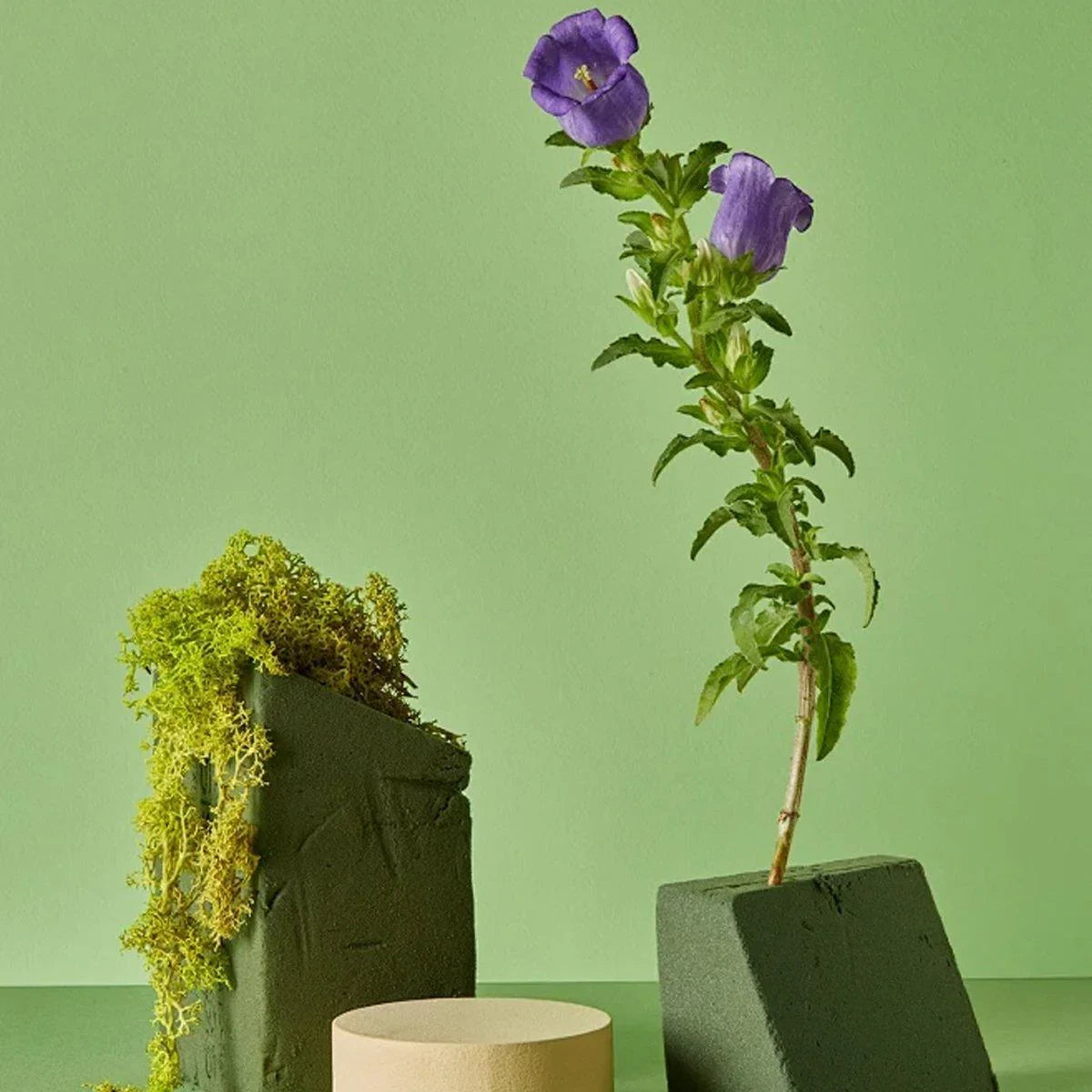 Floral Foma Blocks Dry Wet Brick 2-20PCS