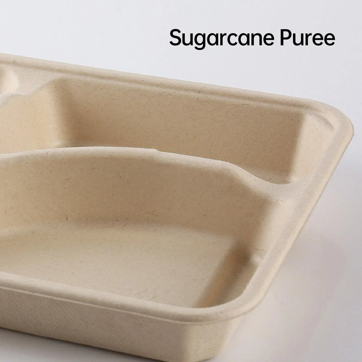 Plant Fibers Takeaway Containers Boxes 25-50pcs