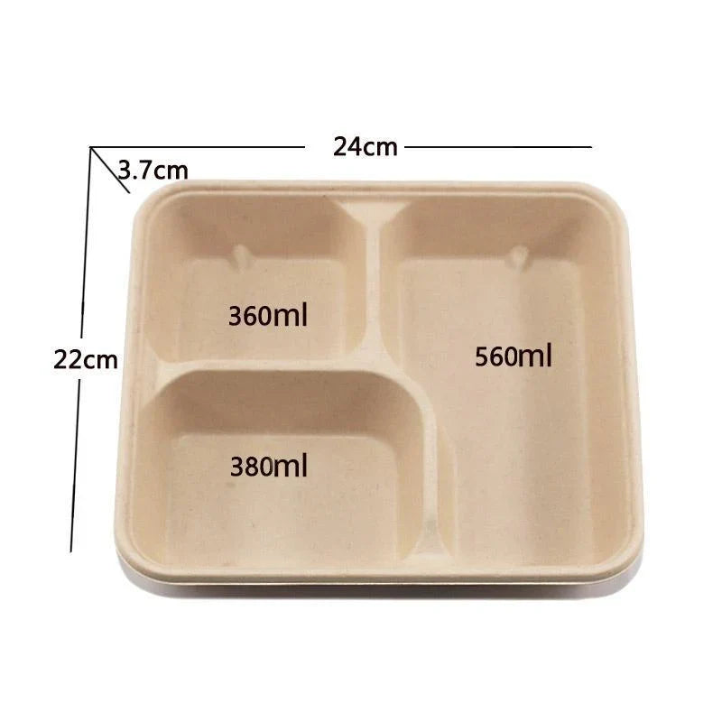Plant Fibers Takeaway Containers Boxes 25-50pcs