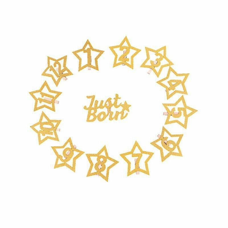 12 Month Milestone Photo Banner Party DIY Decor